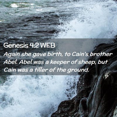 Picture 02 - Genesis 4:2 WEB - Again she gave birth, to Cain's brother Abel. - Bible Verse Picture
