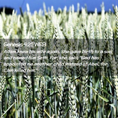 Picture 02 - Genesis 4:25 WEB - Adam knew his wife again. She gave birth to a - Bible Verse Picture