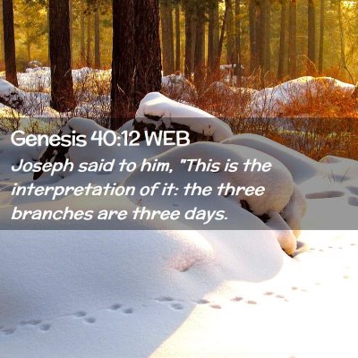 Picture 02 - Genesis 40:12 WEB - Joseph said to him, 