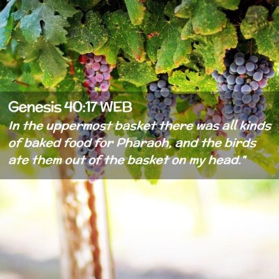 Picture 02 - Genesis 40:17 WEB - In the uppermost basket there was all kinds of - Bible Verse Picture