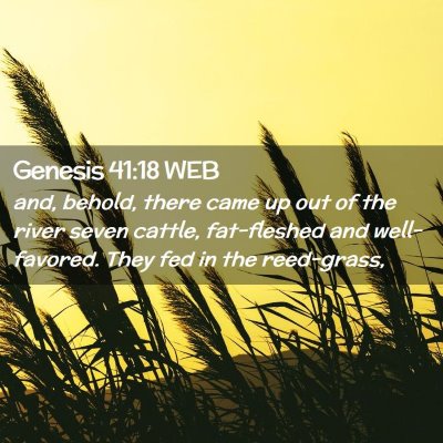 Picture 02 - Genesis 41:18 WEB - and, behold, there came up out of the river seven - Bible Verse Picture
