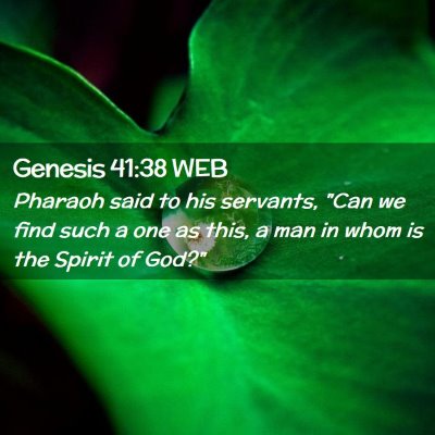 Picture 02 - Genesis 41:38 WEB - Pharaoh said to his servants, 