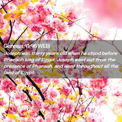 Picture 02 - Genesis 41:46 WEB - Joseph was thirty years old when he stood before - Bible Verse Picture