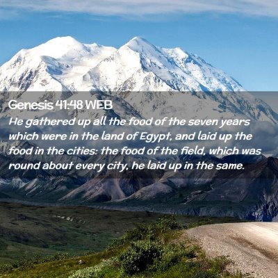 Picture 02 - Genesis 41:48 WEB - He gathered up all the food of the seven years - Bible Verse Picture