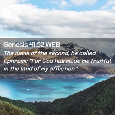 Picture 02 - Genesis 41:52 WEB - The name of the second, he called Ephraim: 