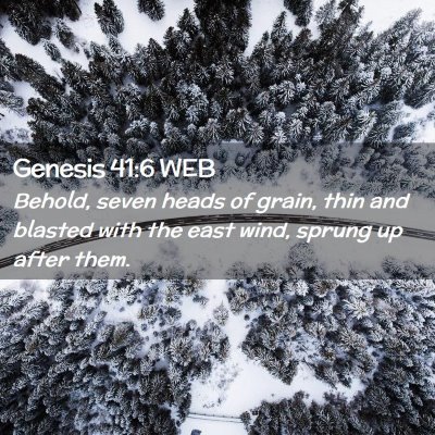 Picture 02 - Genesis 41:6 WEB - Behold, seven heads of grain, thin and blasted - Bible Verse Picture