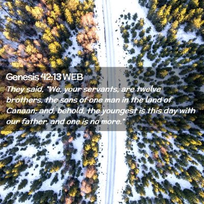 Picture 02 - Genesis 42:13 WEB - They said, 