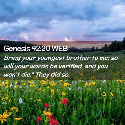 Picture 02 - Genesis 42:20 WEB - Bring your youngest brother to me; so will your - Bible Verse Picture
