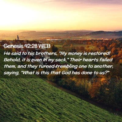 Picture 02 - Genesis 42:28 WEB - He said to his brothers, 