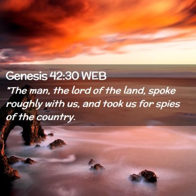 Picture 02 - Genesis 42:30 WEB - 