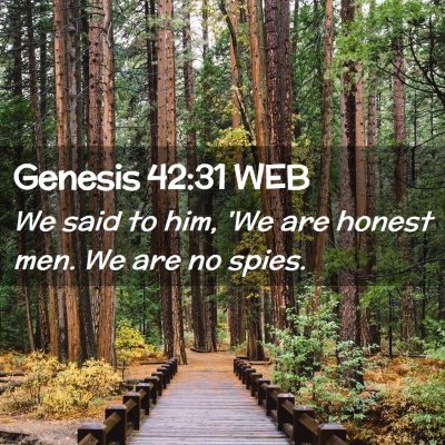 Picture 02 - Genesis 42:31 WEB - We said to him, 'We are honest men. We are no - Bible Verse Picture