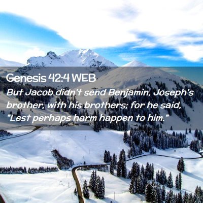 Picture 02 - Genesis 42:4 WEB - But Jacob didn't send Benjamin, Joseph's brother, - Bible Verse Picture