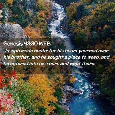 Picture 02 - Genesis 43:30 WEB - Joseph made haste; for his heart yearned over his - Bible Verse Picture
