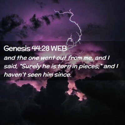 Picture 02 - Genesis 44:28 WEB - and the one went out from me, and I said, 