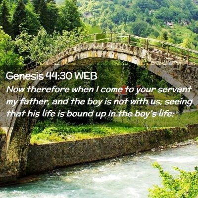 Picture 02 - Genesis 44:30 WEB - Now therefore when I come to your servant my - Bible Verse Picture