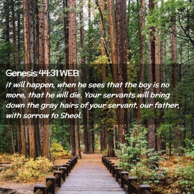 Picture 02 - Genesis 44:31 WEB - it will happen, when he sees that the boy is no - Bible Verse Picture