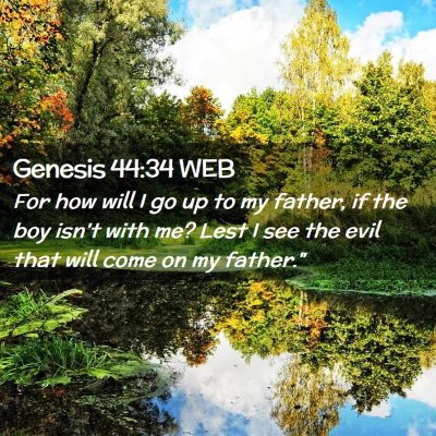 Picture 02 - Genesis 44:34 WEB - For how will I go up to my father, if the boy - Bible Verse Picture