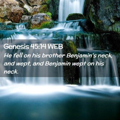 Picture 02 - Genesis 45:14 WEB - He fell on his brother Benjamin's neck, and wept, - Bible Verse Picture