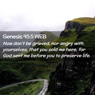 Picture 02 - Genesis 45:5 WEB - Now don't be grieved, nor angry with yourselves, - Bible Verse Picture