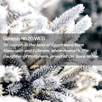 Picture 02 - Genesis 46:20 WEB - To Joseph in the land of Egypt were born Manasseh - Bible Verse Picture