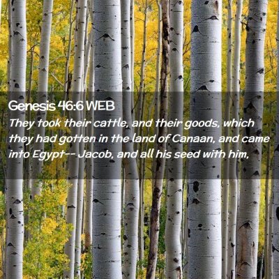 Picture 02 - Genesis 46:6 WEB - They took their cattle, and their goods, which - Bible Verse Picture