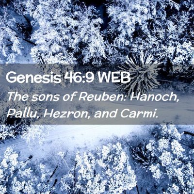 Picture 02 - Genesis 46:9 WEB - The sons of Reuben: Hanoch, Pallu, Hezron, and - Bible Verse Picture