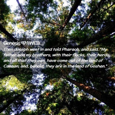 Picture 02 - Genesis 47:1 WEB - Then Joseph went in and told Pharaoh, and said, - Bible Verse Picture