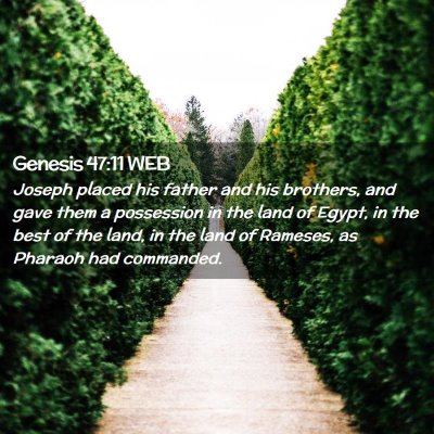 Picture 02 - Genesis 47:11 WEB - Joseph placed his father and his brothers, and - Bible Verse Picture