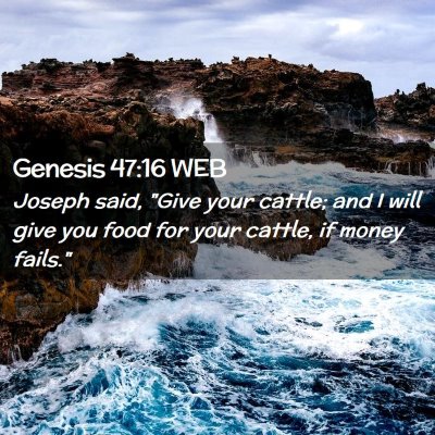 Picture 02 - Genesis 47:16 WEB - Joseph said, 