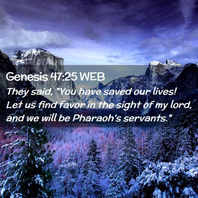 Picture 02 - Genesis 47:25 WEB - They said, 