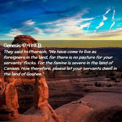 Picture 02 - Genesis 47:4 WEB - They said to Pharaoh, 