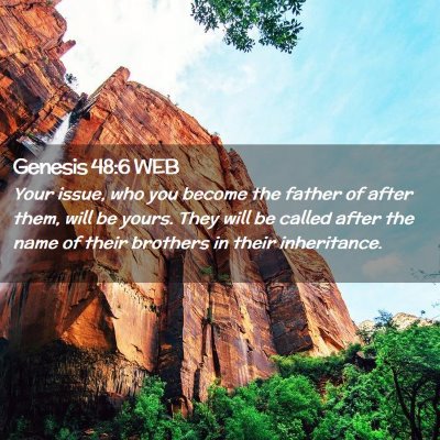 Picture 02 - Genesis 48:6 WEB - Your issue, who you become the father of after - Bible Verse Picture