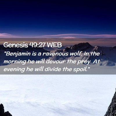 Picture 02 - Genesis 49:27 WEB - 