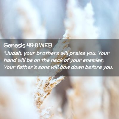 Picture 02 - Genesis 49:8 WEB - 