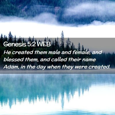 Picture 02 - Genesis 5:2 WEB - He created them male and female, and blessed - Bible Verse Picture