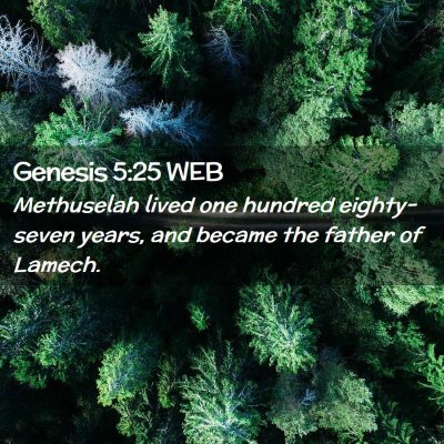 Picture 02 - Genesis 5:25 WEB - Methuselah lived one hundred eighty-seven years, - Bible Verse Picture