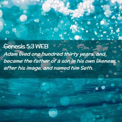 Picture 02 - Genesis 5:3 WEB - Adam lived one hundred thirty years, and became - Bible Verse Picture