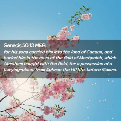 Picture 02 - Genesis 50:13 WEB - for his sons carried him into the land of Canaan, - Bible Verse Picture