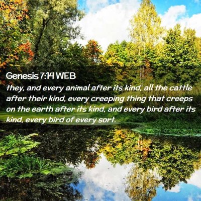 Picture 02 - Genesis 7:14 WEB - they, and every animal after its kind, all the - Bible Verse Picture