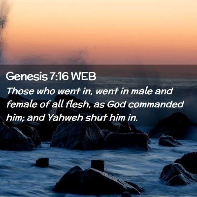 Picture 02 - Genesis 7:16 WEB - Those who went in, went in male and female of all - Bible Verse Picture
