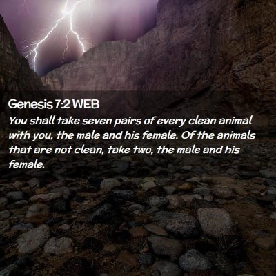 Picture 02 - Genesis 7:2 WEB - You shall take seven pairs of every clean animal - Bible Verse Picture