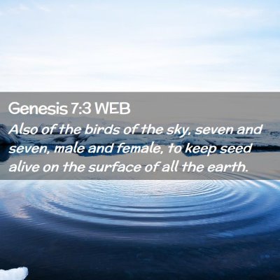 Picture 02 - Genesis 7:3 WEB - Also of the birds of the sky, seven and seven, - Bible Verse Picture