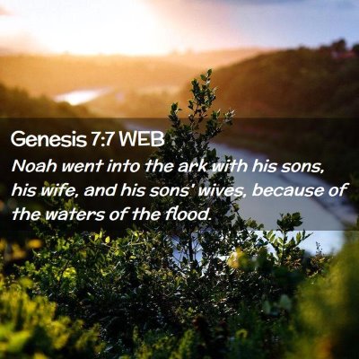 Picture 02 - Genesis 7:7 WEB - Noah went into the ark with his sons, his wife, - Bible Verse Picture