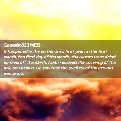 Picture 02 - Genesis 8:13 WEB - It happened in the six hundred first year, in the - Bible Verse Picture