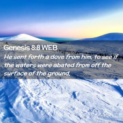 Picture 02 - Genesis 8:8 WEB - He sent forth a dove from him, to see if the - Bible Verse Picture