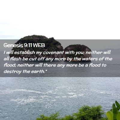 Picture 02 - Genesis 9:11 WEB - I will establish my covenant with you; neither - Bible Verse Picture