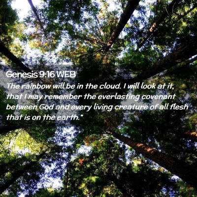 Picture 02 - Genesis 9:16 WEB - The rainbow will be in the cloud. I will look at - Bible Verse Picture