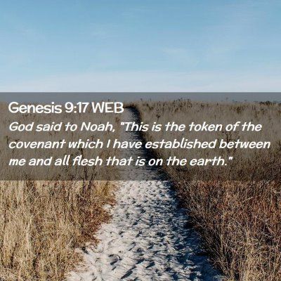Picture 02 - Genesis 9:17 WEB - God said to Noah, 