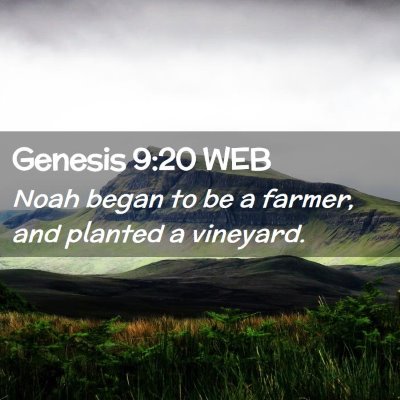 Picture 02 - Genesis 9:20 WEB - Noah began to be a farmer, and planted a - Bible Verse Picture