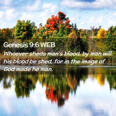 Picture 02 - Genesis 9:6 WEB - Whoever sheds man's blood, by man will his blood - Bible Verse Picture